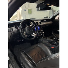 Ford Mustang  2021 (VENDIDO)