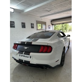 Ford Mustang  2021 (VENDIDO)