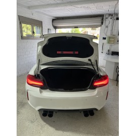 BMW M2 F87 (VENDIDO)